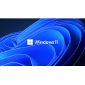 Microsoft Windows 11 Pro Licentie+32GB USB ISO